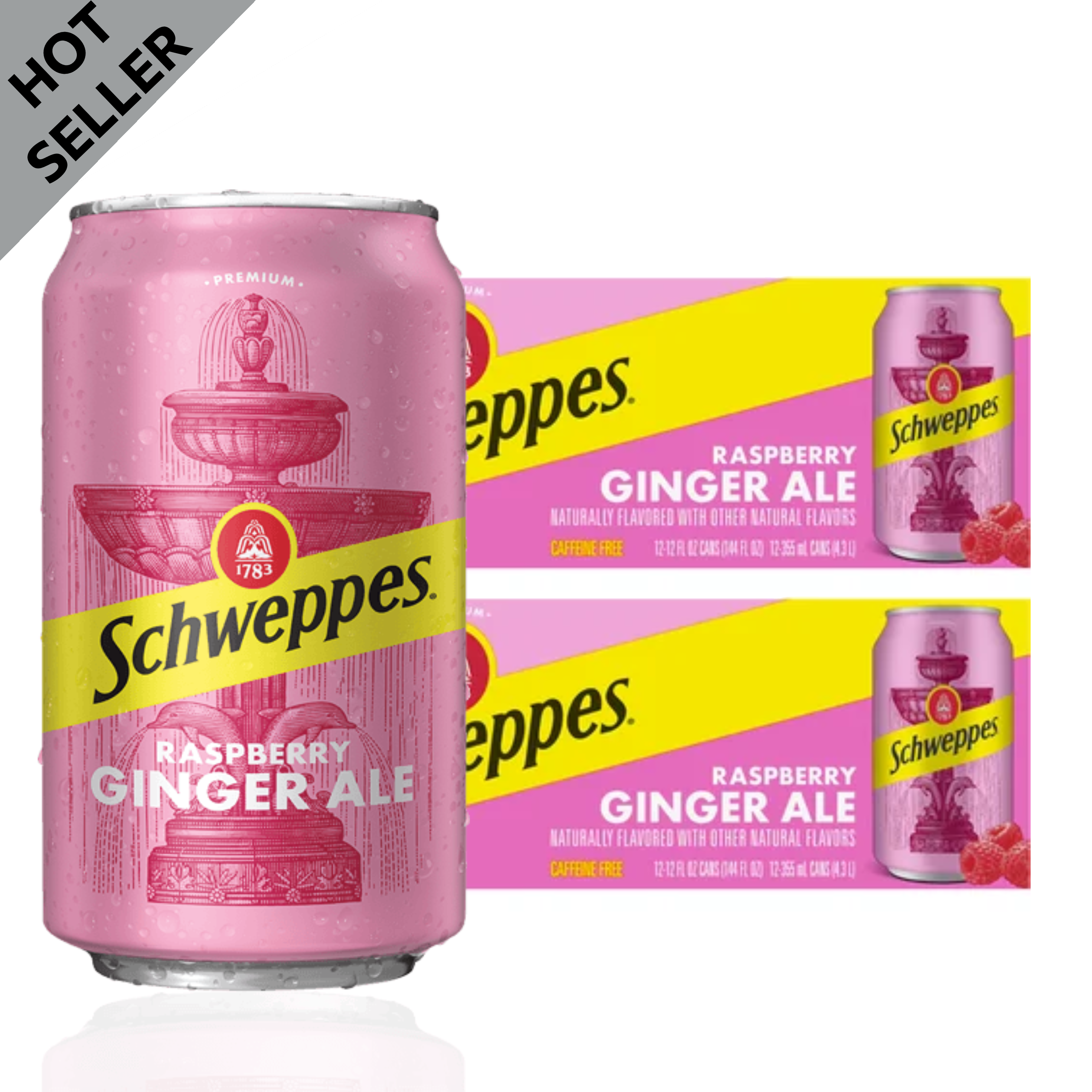 Schweppes® Ginger Ale Soda Cans, 12 pk / 12 fl oz - Foods Co.